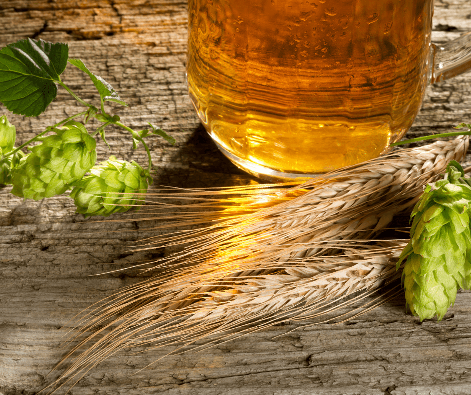 hops and beer